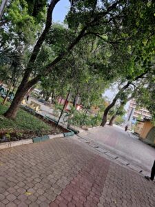 Pathway in ABU campus